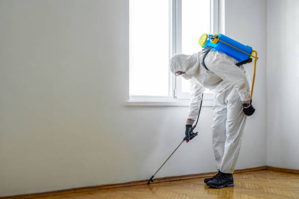 Best Commercial Pest Control  in Antigo, WI